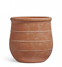 TREEZ ERGO Italica